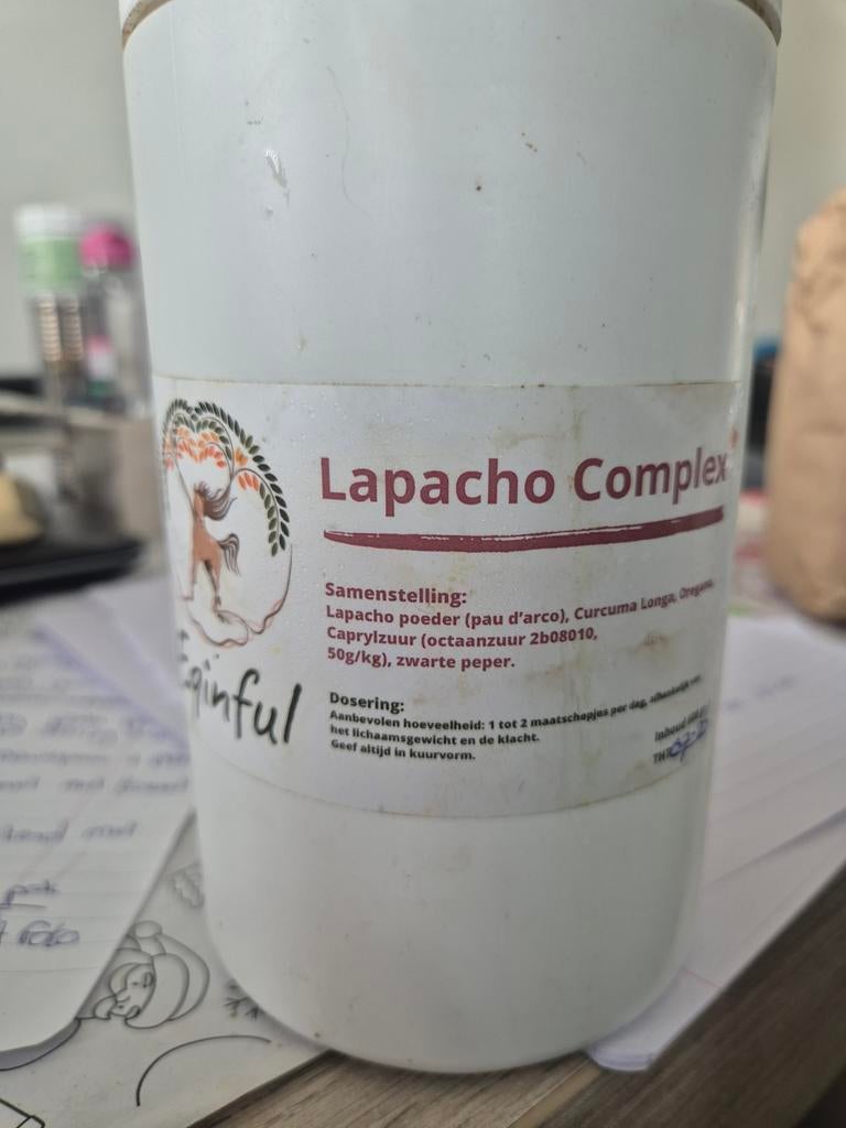 Lapacho, Ophalen of Verzenden, Dressuur