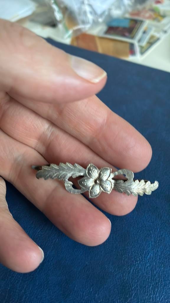 Zilver klassieke clip, 4 tot 7 cm, Gebruikt, Ophalen of Verzenden, Zilver