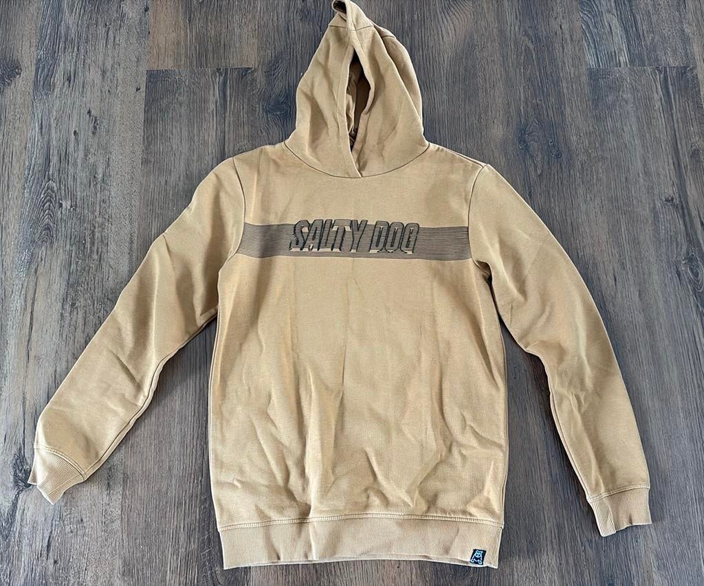 Trui Salty Dog maat 170/176, Ophalen of Verzenden, Zo goed als nieuw, Jongen, Trui of Vest