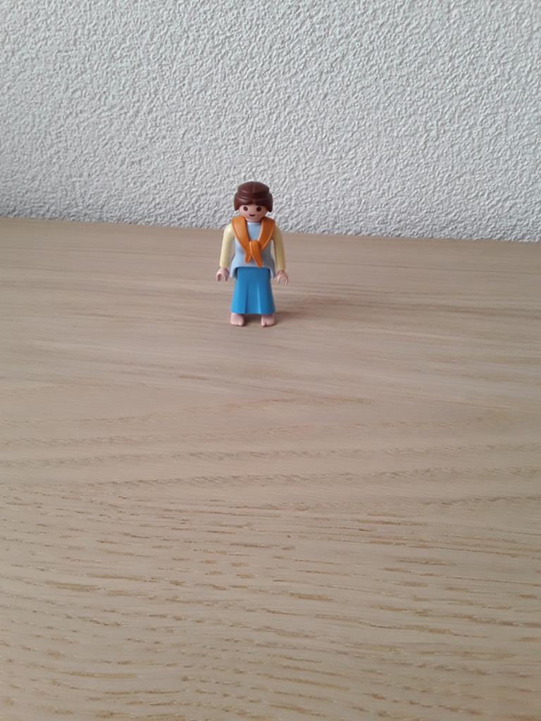 Playmobil 3255 Ark van Noah Noah's vrouw 30142140 z.g.a.n., Ophalen, Zo goed als nieuw, Los playmobil