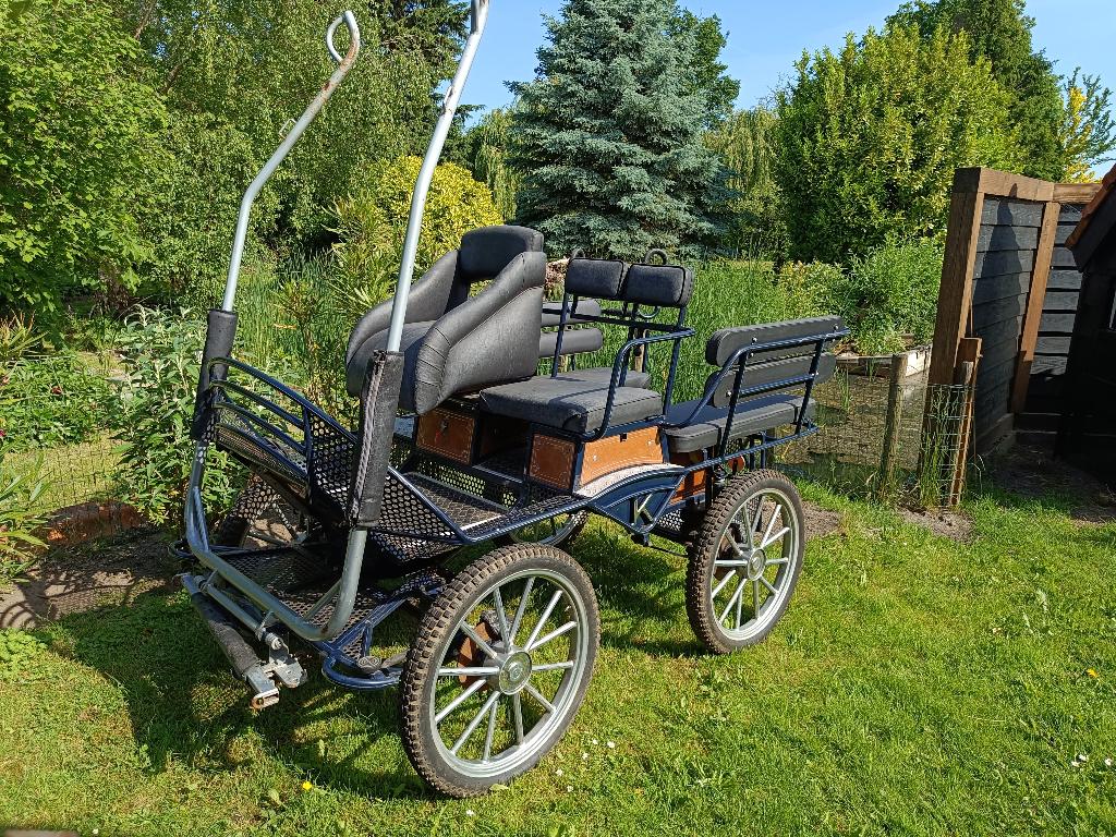 Marathonwagen, kruising tussen recreatie- en seniorenwagen, Gebruikt, Overige typen, Paard of Pony