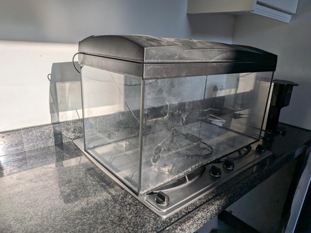 Aquarium terrarium 60cm x 30cm en 36 cm hoog., Dieren en Toebehoren, Vissen | Aquaria en Toebehoren, Ophalen
