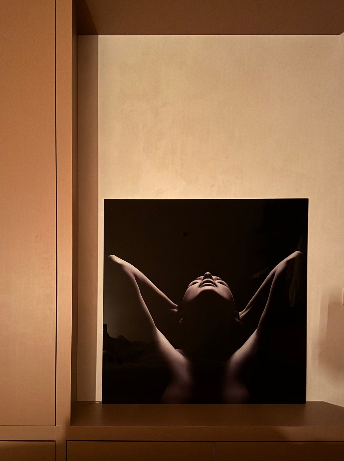Prachtige foto, plexieglas schilderij 1mX1m, Ophalen