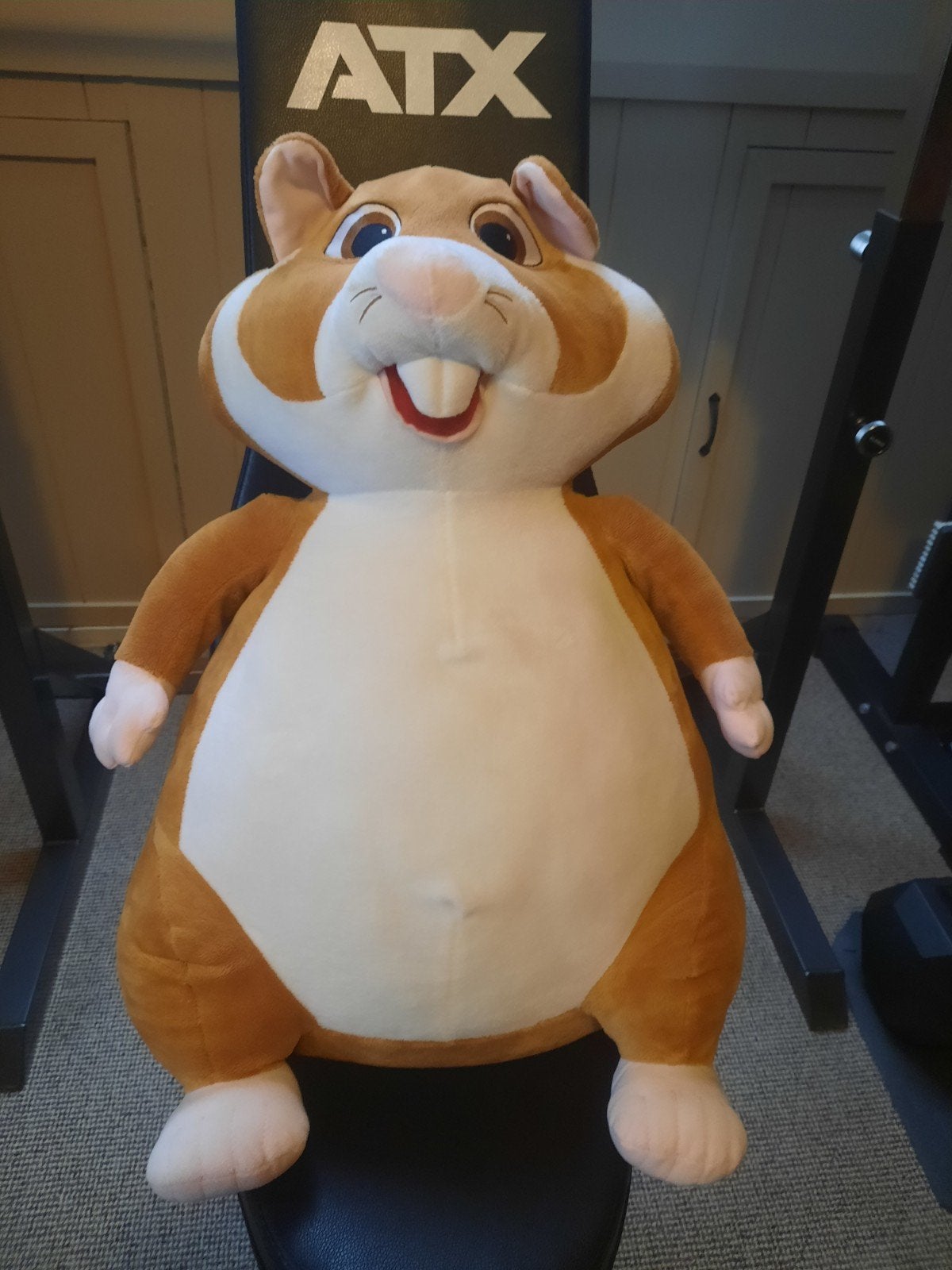 Grote Hamster Knuffel - 58 cm hoog, Kinderen en Baby's, Speelgoed | Knuffels en Pluche, Hamster, Ophalen of Verzenden, Zo goed als nieuw