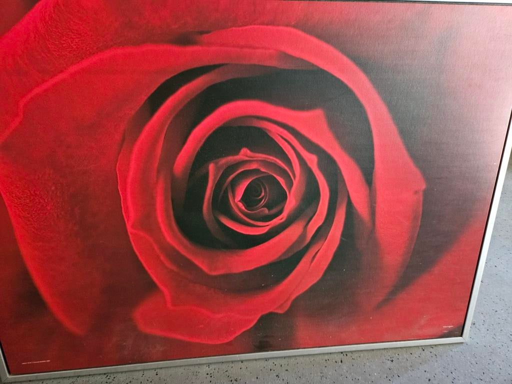 Groot Rood Roos Schilderij - Modern Canvas Kunstwerk, Antiek en Kunst, Kunst | Schilderijen | Modern, Ophalen of Verzenden