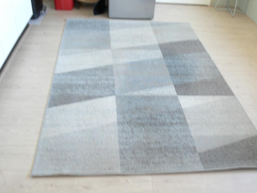 VLOERKLEED maat 1.60m x2.30m, Ophalen, Gebruikt, 150 tot 200 cm, 200 cm of meer
