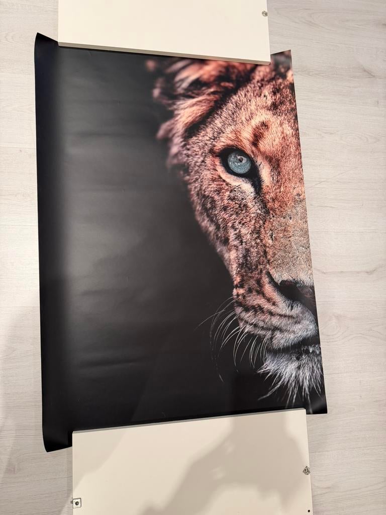 PosterJunkie poster 100x70cm, Ophalen