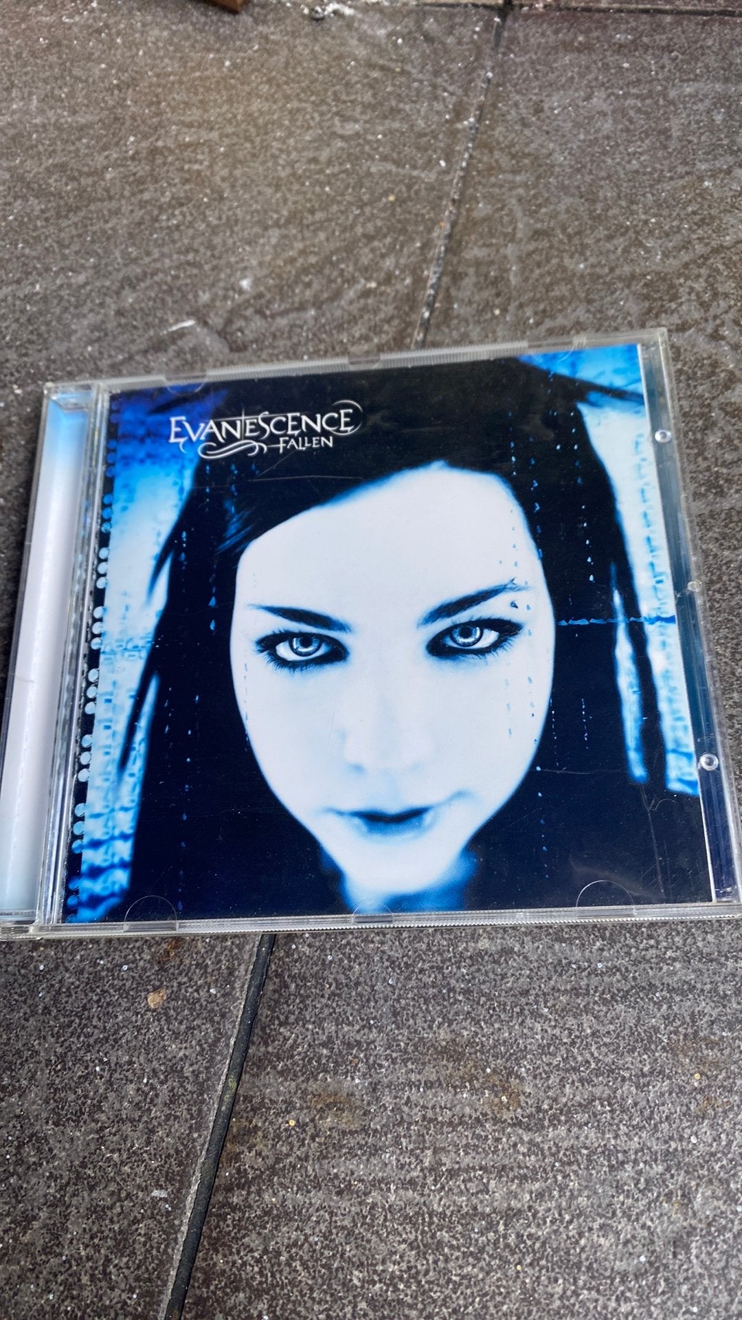 Cd evanescence, fallen, Cd's en Dvd's, Ophalen of Verzenden, Zo goed als nieuw