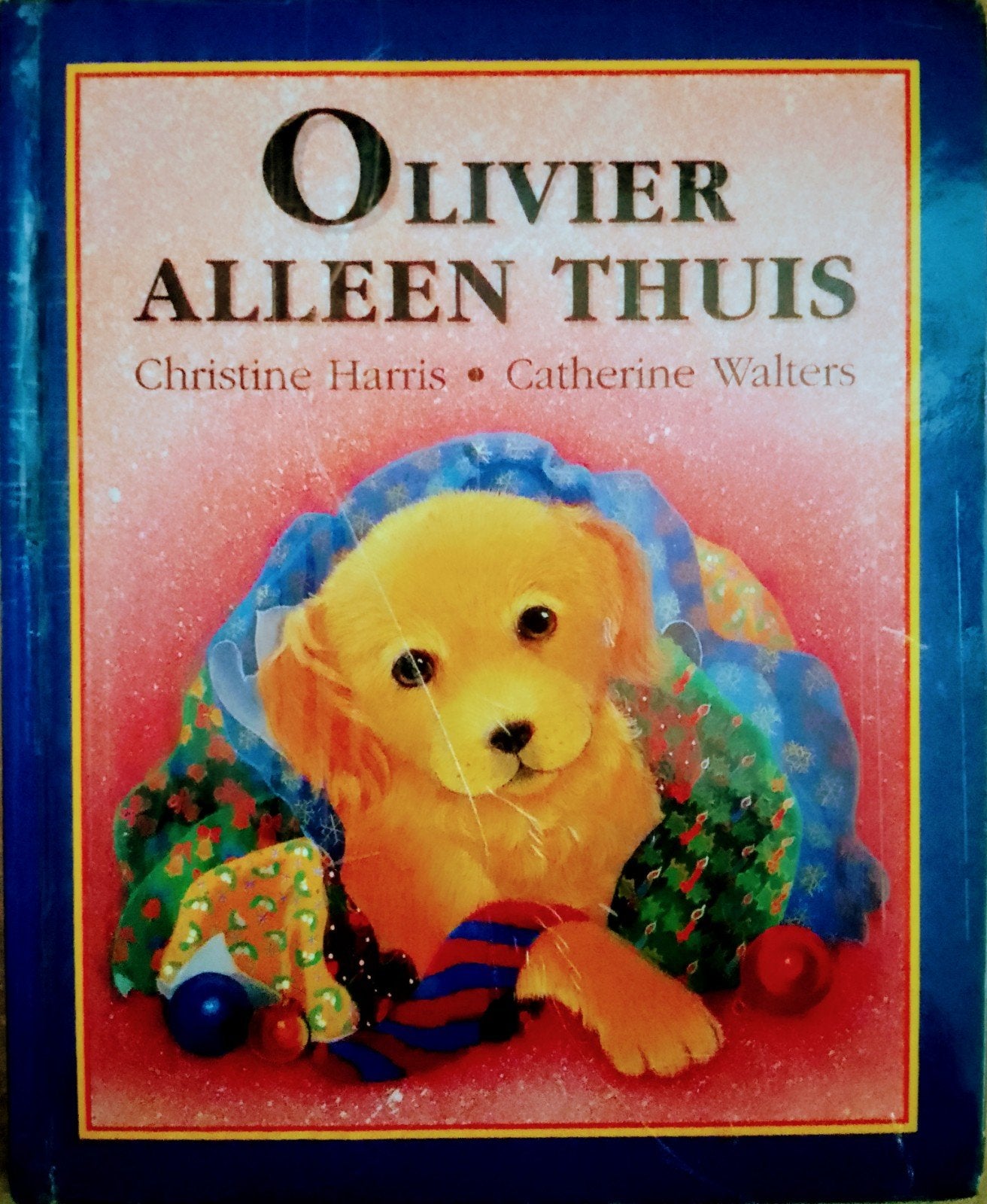 Olivier Alleen Thuis, Gelezen, Fictie algemeen, Jongen of Meisje, Ophalen of Verzenden