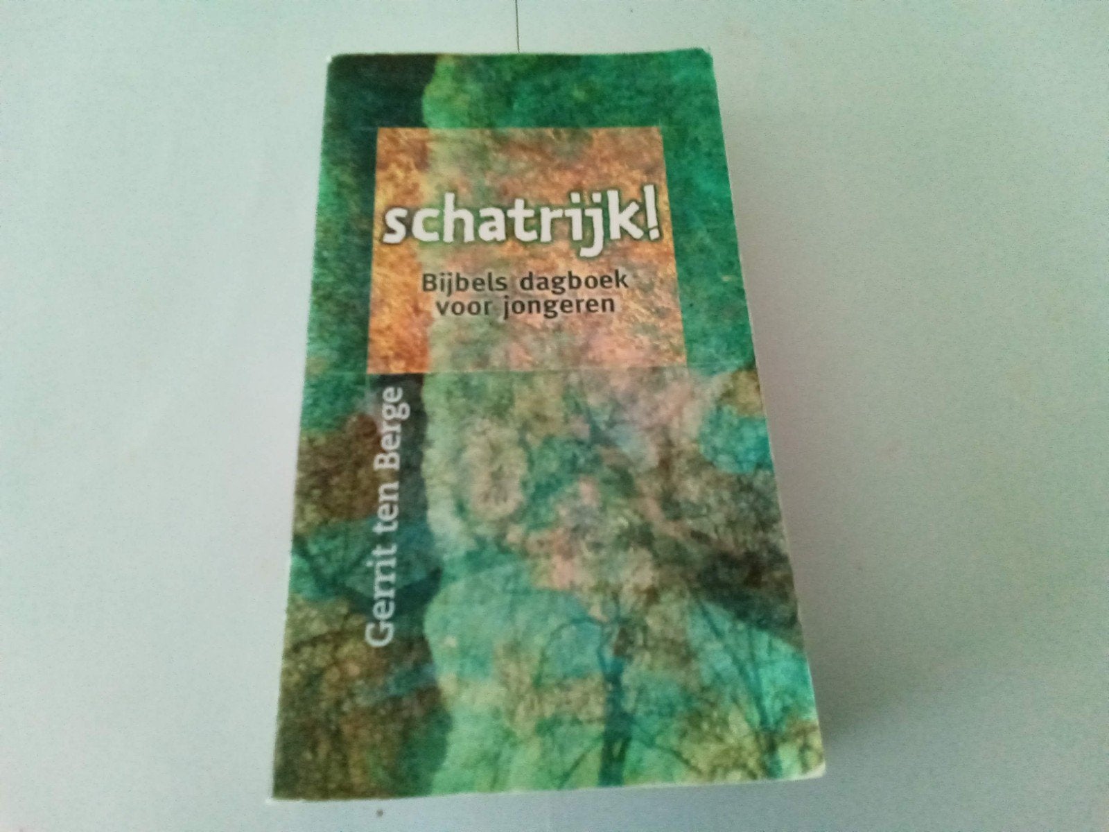 Schatrijk- Bijbels Dagboek voor jongeren ( Gerrit ten Berge, Boeken, Godsdienst en Theologie, Ophalen of Verzenden, Gelezen, Christendom | Protestants