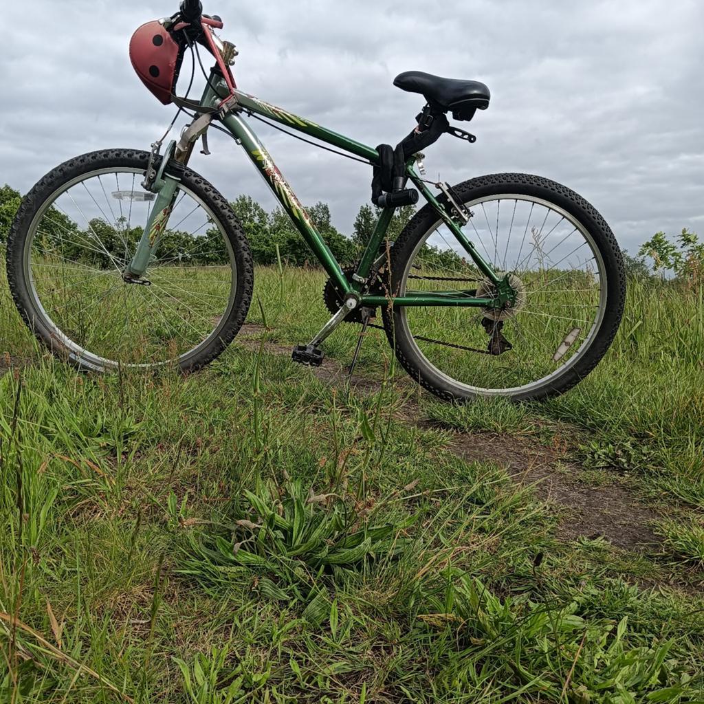 fiets /Bike, Ophalen of Verzenden, Minder dan 10 versnellingen, 26 inch, Overige merken