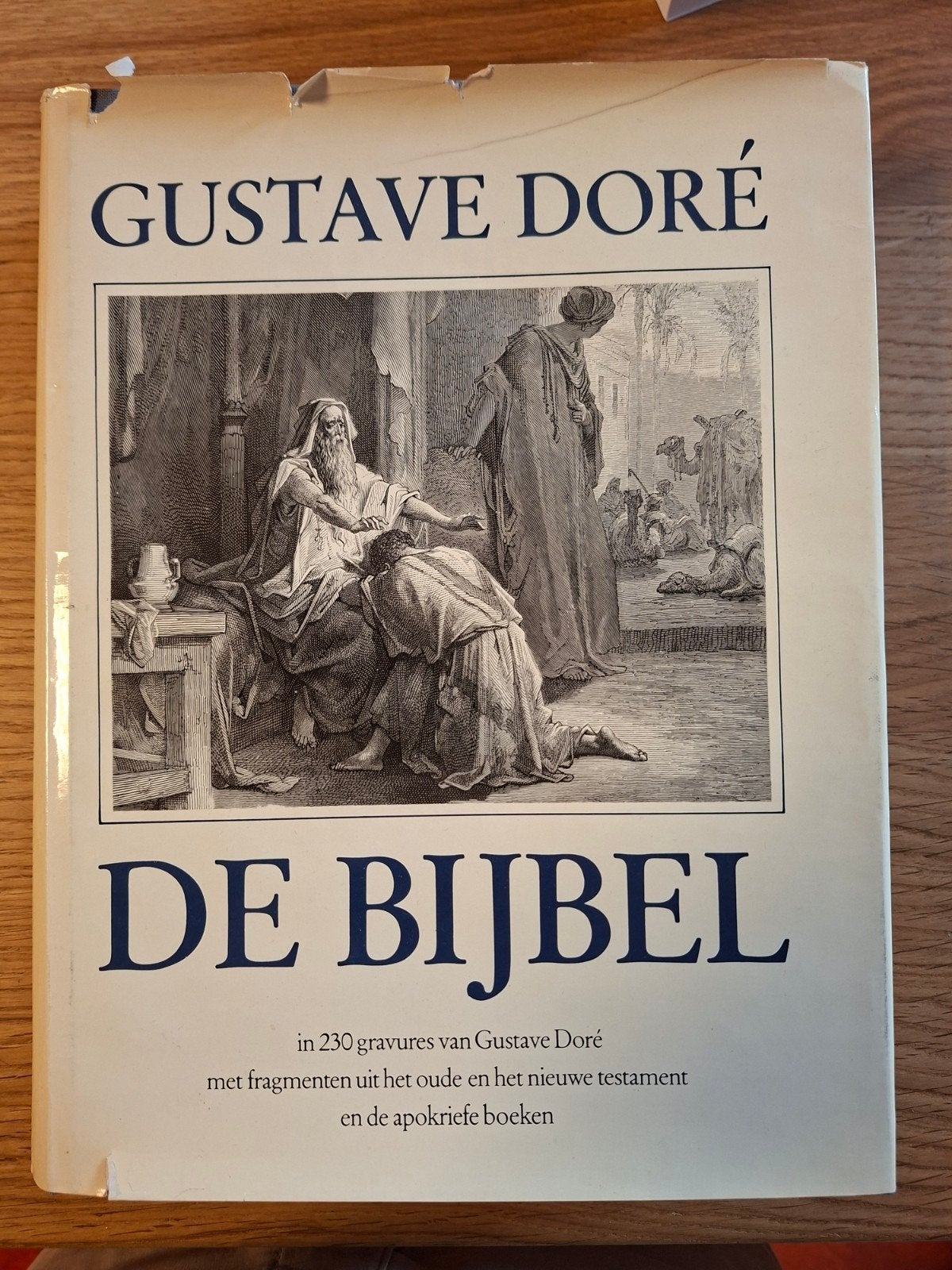 De Bijbel in 230 gravures van Gustave Dor&eacute;, Ophalen of Verzenden, Gustave Dor&eacute;