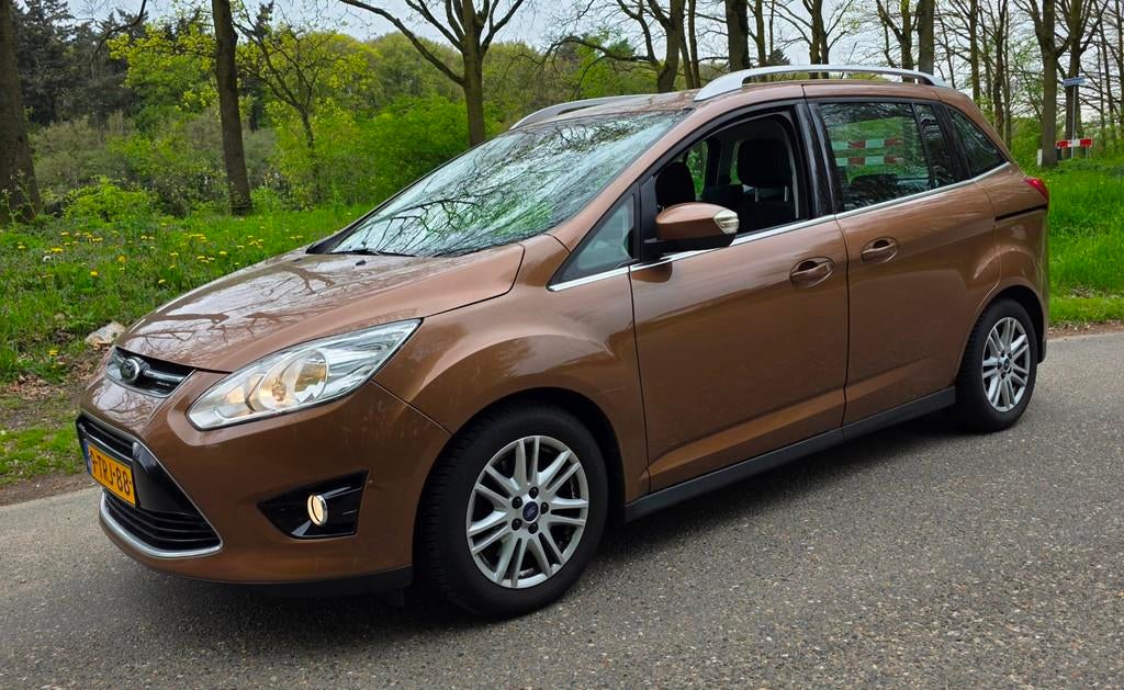 Ford Grand C-Max 1.0 Titanium - NL Auto - 2e Eigenaar - Navi, Auto's, Ford, Bedrijf, Te koop, Grand C-Max, ABS, Airbags, Airconditioning