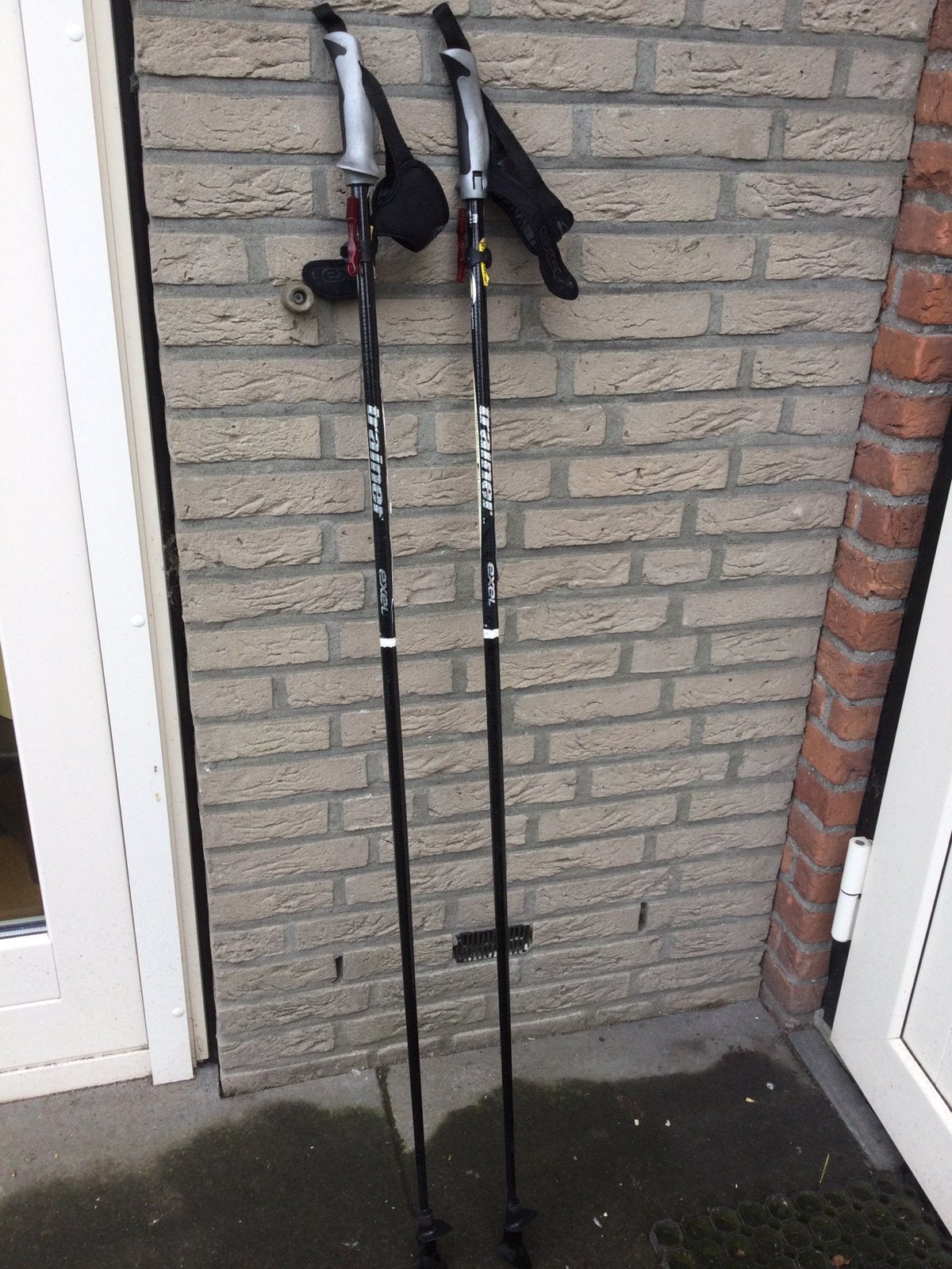 Nordic walking stokken, Ophalen of Verzenden, Gebruikt, Wandelstok