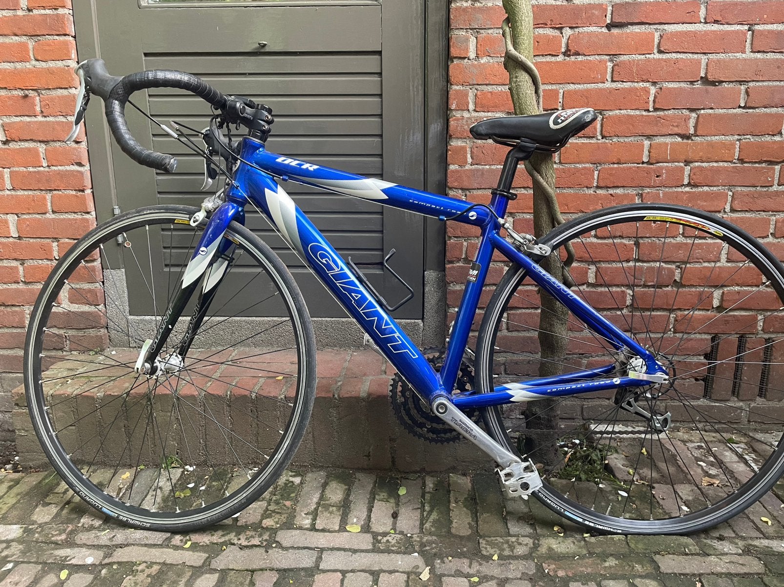 Dames racefiets giant, Fietsen en Brommers, Fietsen | Racefietsen, Ophalen, Aluminium, 49 tot 53 cm, Giant