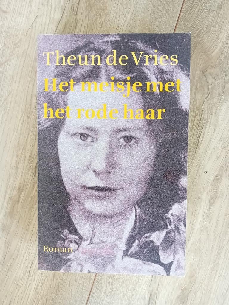 Het meisje met het rode haar - Theun de Vries Roman, Boeken, Ophalen of Verzenden, Gelezen, Theun de Vries, Nederland