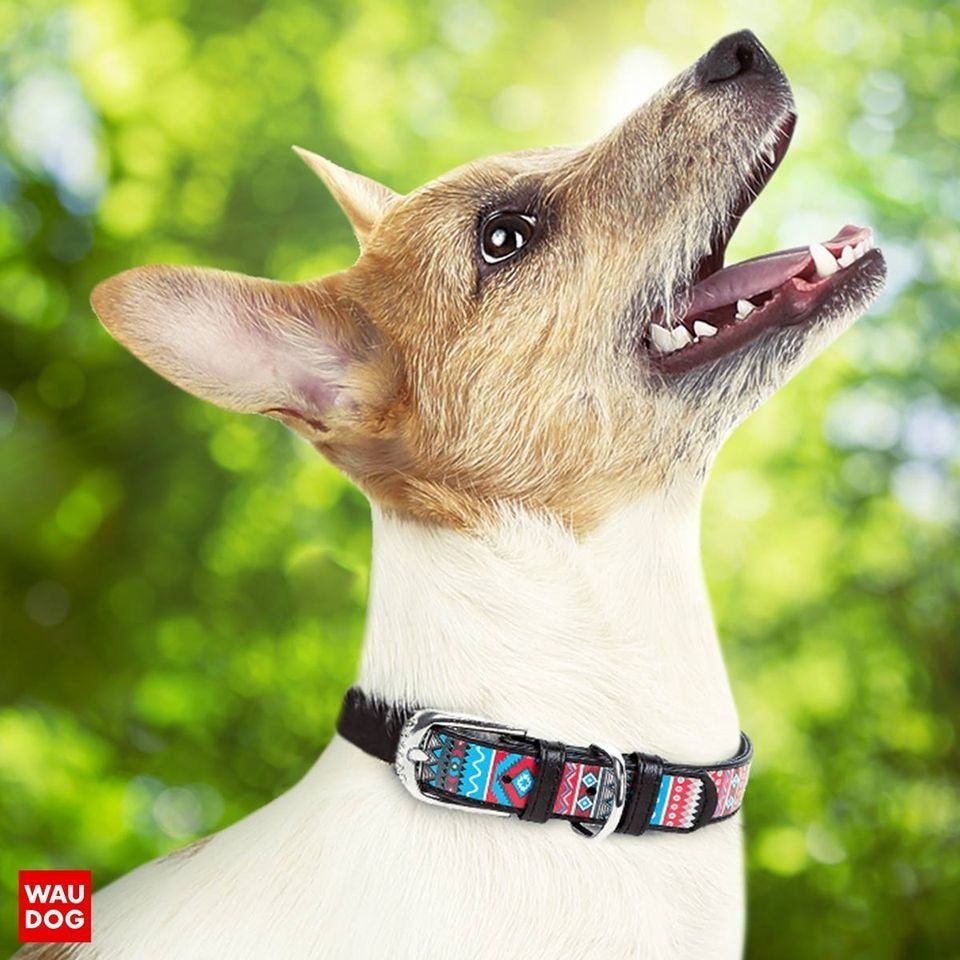 WAUDOG Ethno Lederen Halsband Zwart Nek 27-36 cm KOOPJE!!!, Dieren en Toebehoren, Hondenhalsbanden en Penningen, Nieuw, Handgemaakt