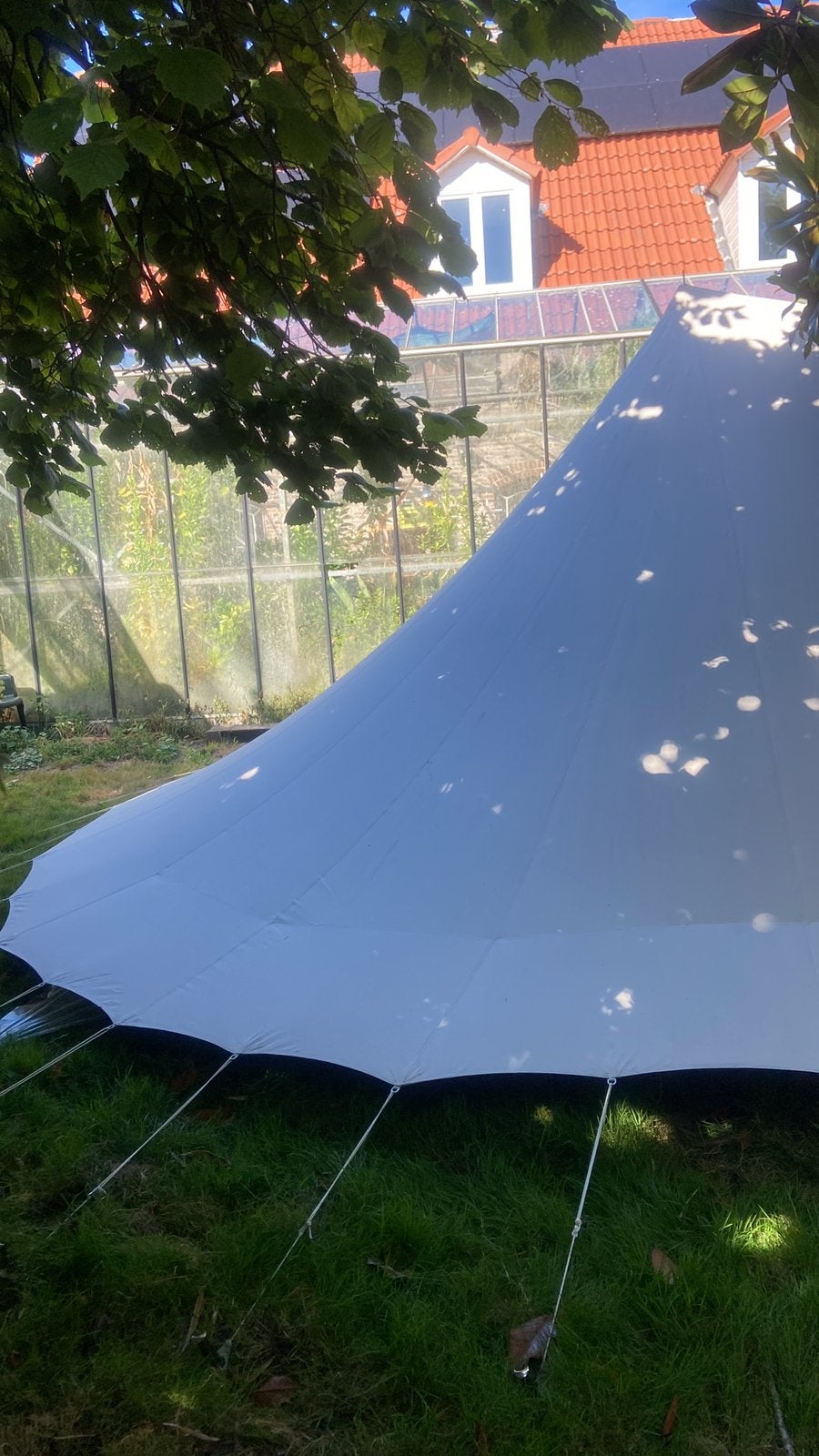 De waard Albatros ., Caravans en Kamperen, Ophalen of Verzenden, Gebruikt, Tot en met 4
