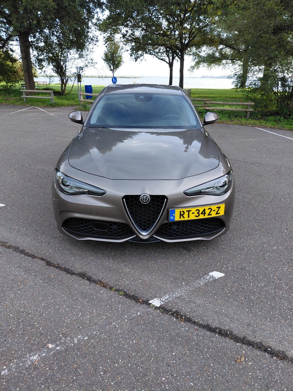 Alfa Romeo Giulia 2.0 Veloce Turbo 281pk Aut AWD 2018, Automaat, 745 kg, 15 km/l, Zwart