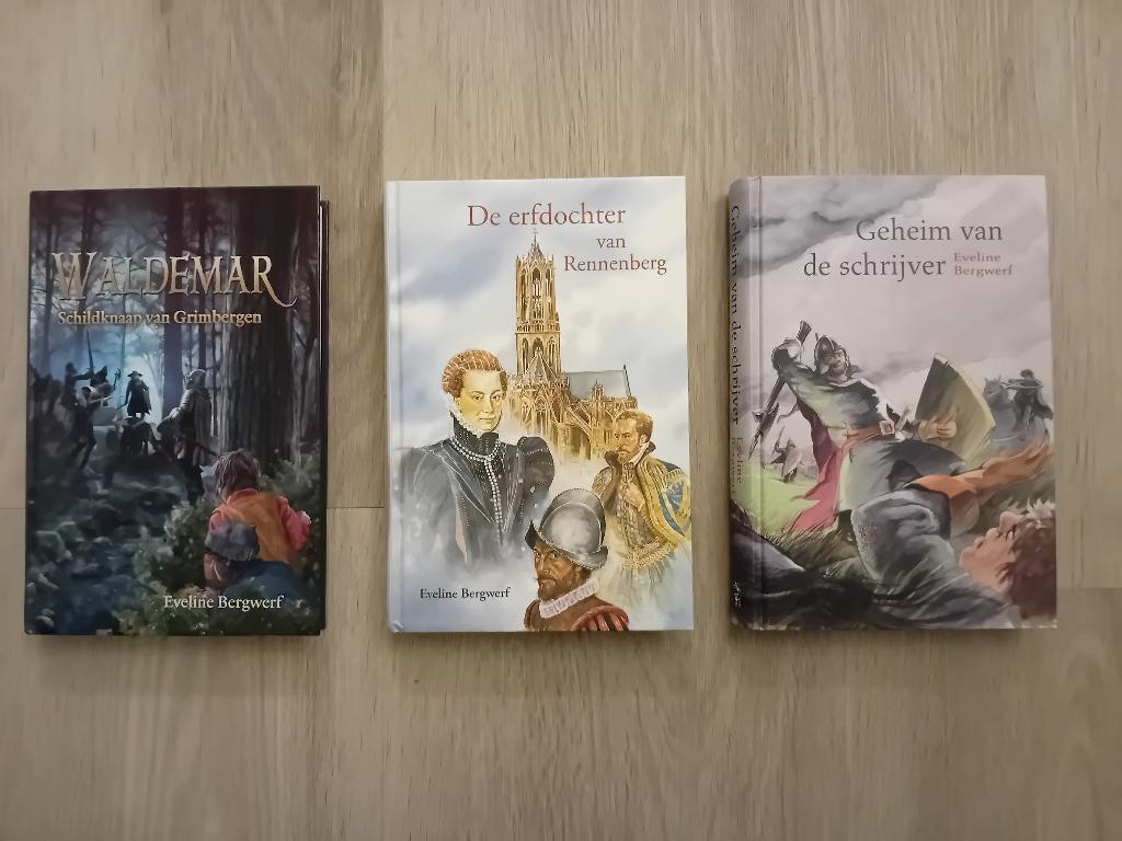 3 boeken Eveline Bergwerf, Ophalen of Verzenden, Zo goed als nieuw, Eveline Bergwerf
