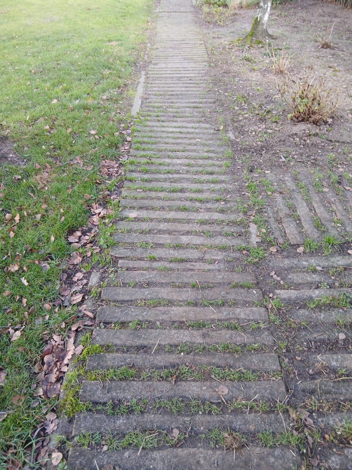 Tuin hekjes, Ophalen, Hout