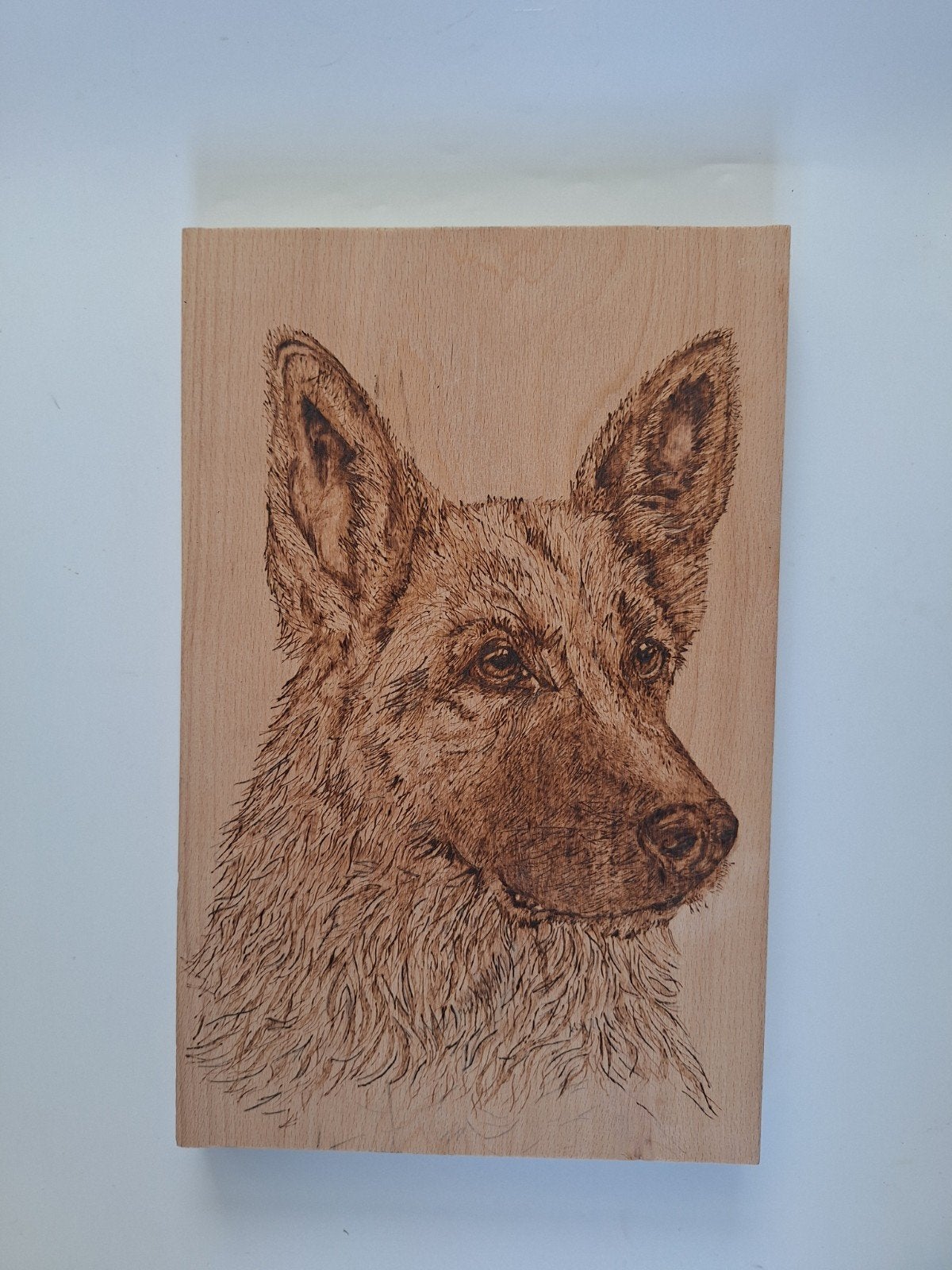 Herdershond gebrand op hout (Pyrografie)
30 x 19,2 cm
Inclus, Ophalen of Verzenden, Overige technieken