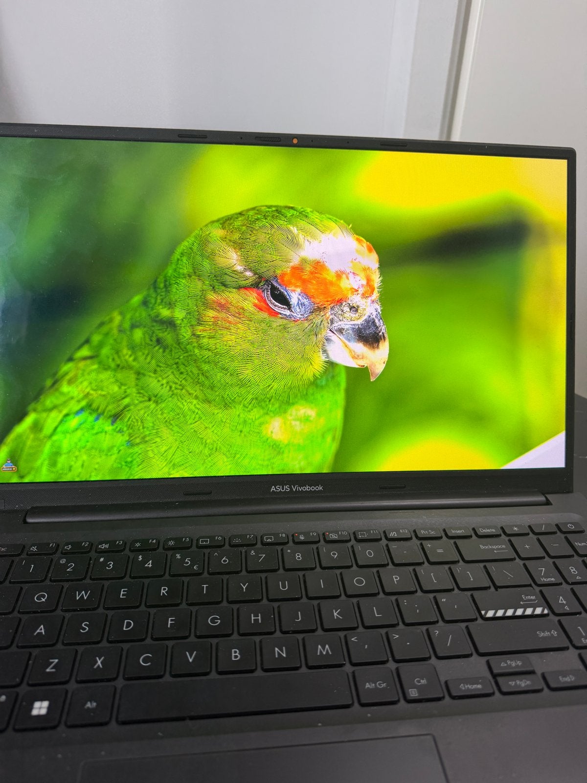 ASUS Vivobook X15 OLED – i7-1255U | 16GB RAM | 1TB SSD, Computers en Software, Windows Laptops, Ophalen, Met videokaart, Zo goed als nieuw