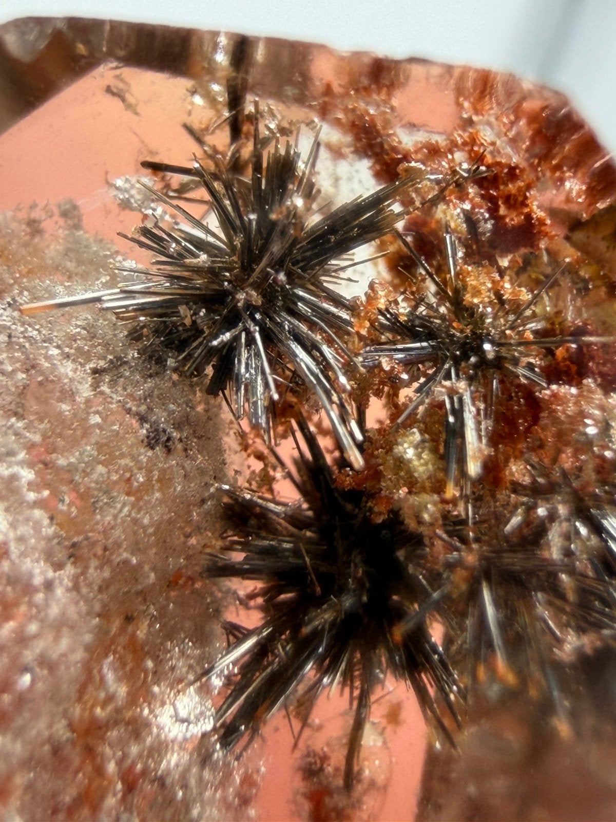 Black rutile (zee-egels) in Garden Quartz, Ophalen of Verzenden