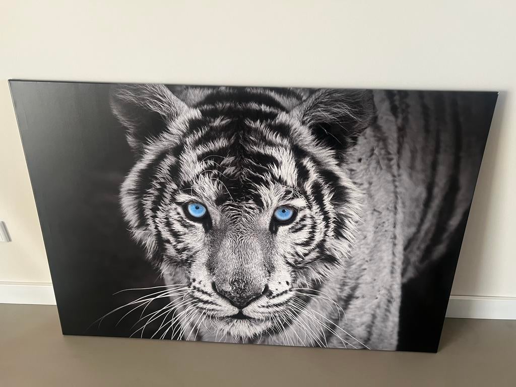Canvas tijger whow xl afhaal €15,/, Ophalen, Nieuw