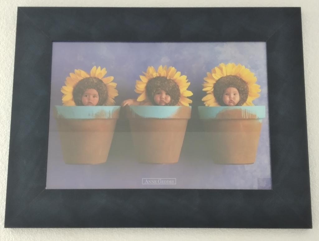 Anne Geddes 3 baby's in bloempot, Hout, Zo goed als nieuw, Wandbord of Wandpaneel, 49 cm