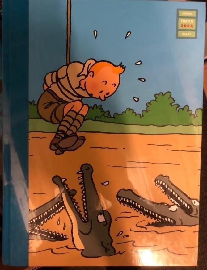 Agenda Tintin 2004 Diary Kuifje hardcover n1, Boeken, Eén stripboek, Ophalen of Verzenden, Zo goed als nieuw