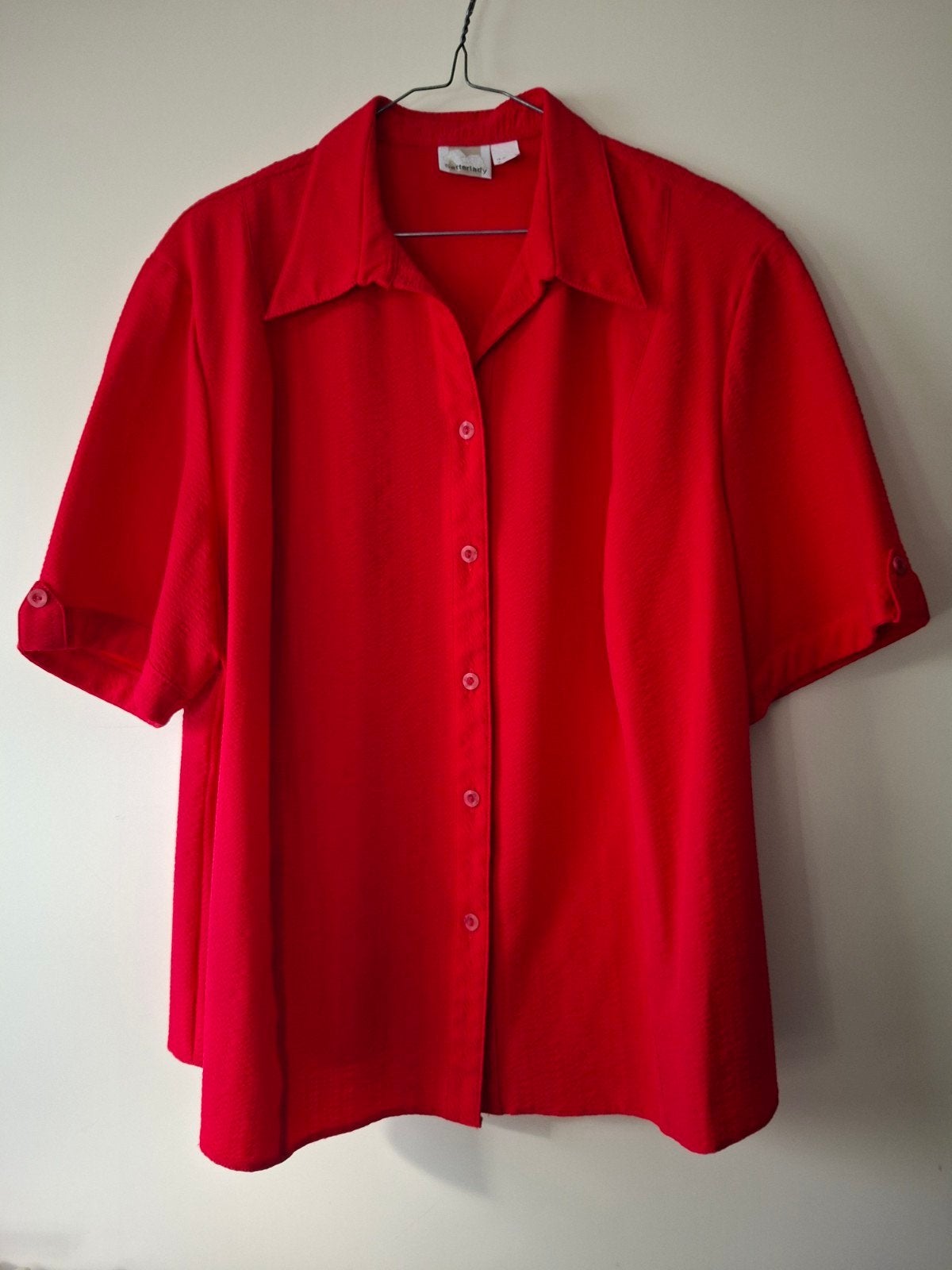 Setterlady - blouse - maat 52, Kleding | Dames, Verzenden, Maat 46/48 (XL) of groter, Zo goed als nieuw, Setterlady