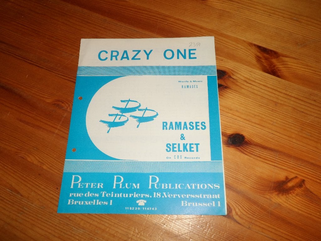 Ramases & selket - mind's eye / crazy one, Gebruikt, Gitaar, Ophalen of Verzenden, Artiest of Componist