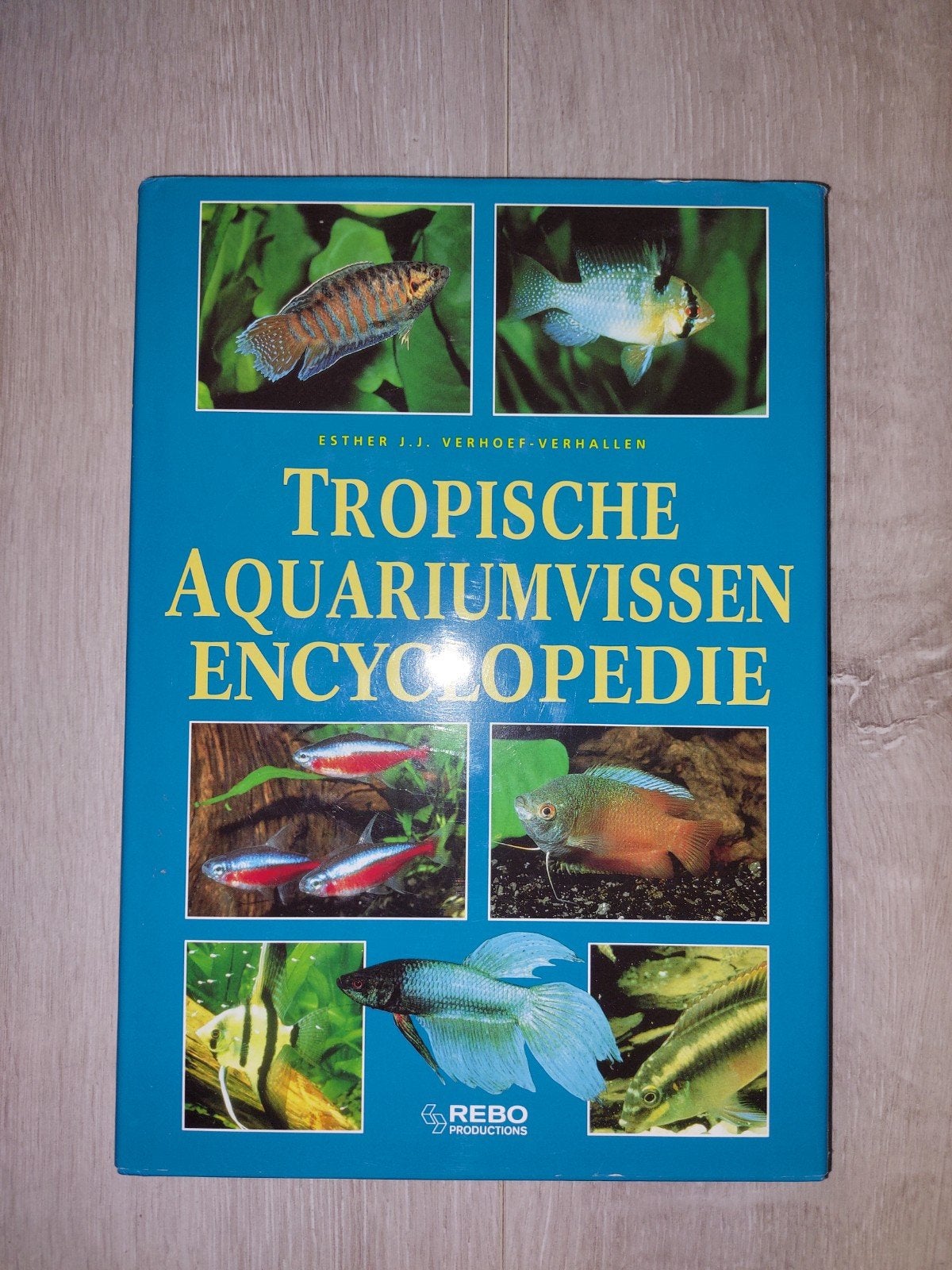 Tropische Aquariumvissen Encyclopedie - Esther J.J. Verhoef, Boeken, Encyclopedieën, Gelezen, Esther J.J. Verhoef-Verhallen, Ophalen of Verzenden