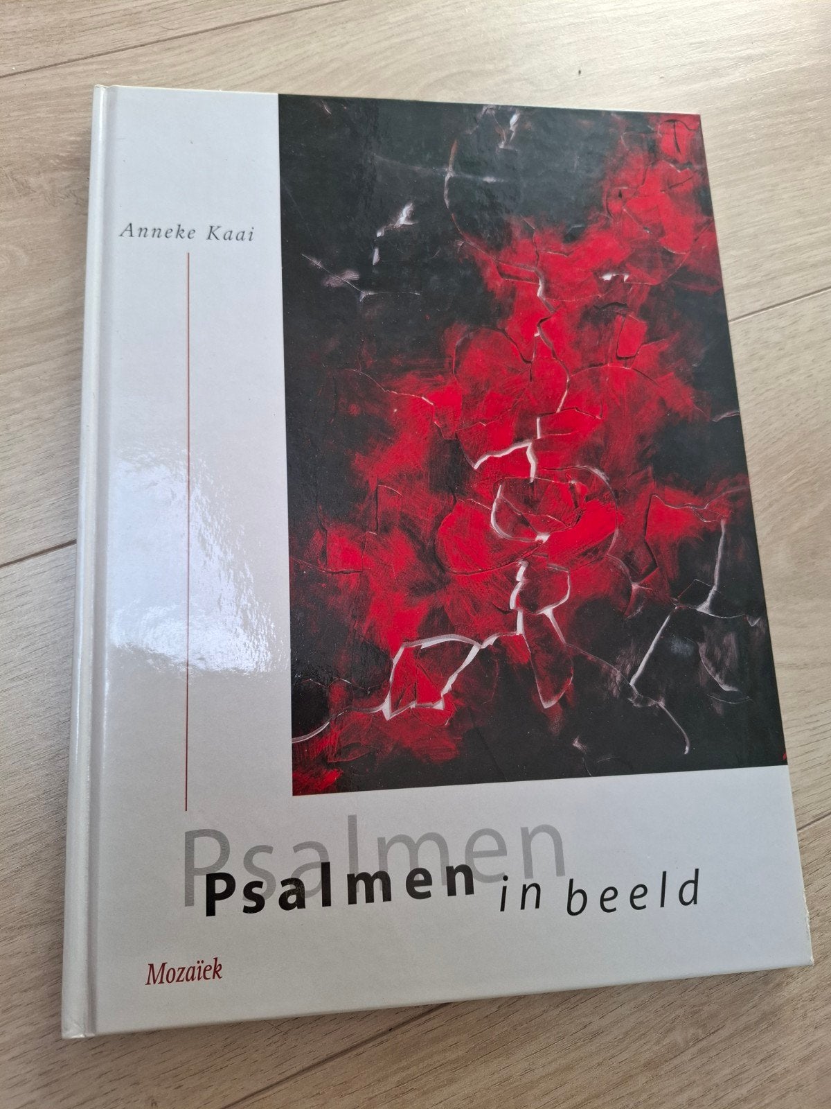 Psalmen in beeld - Anneke Kaai (Bijbel, Christendom), Ophalen of Verzenden, Zo goed als nieuw