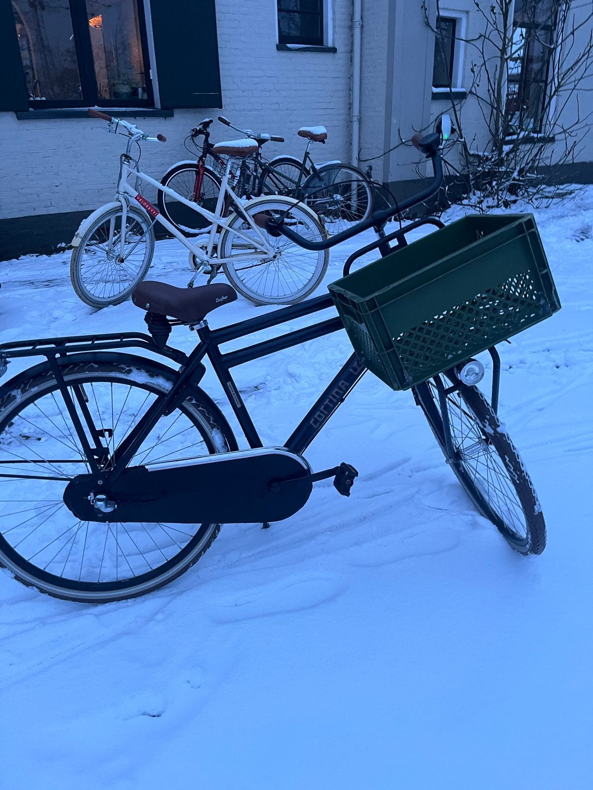 Cortina U4 Transportfiets - Zwart, met krat, Velgrem, Versnellingen, Ophalen, Overige merken