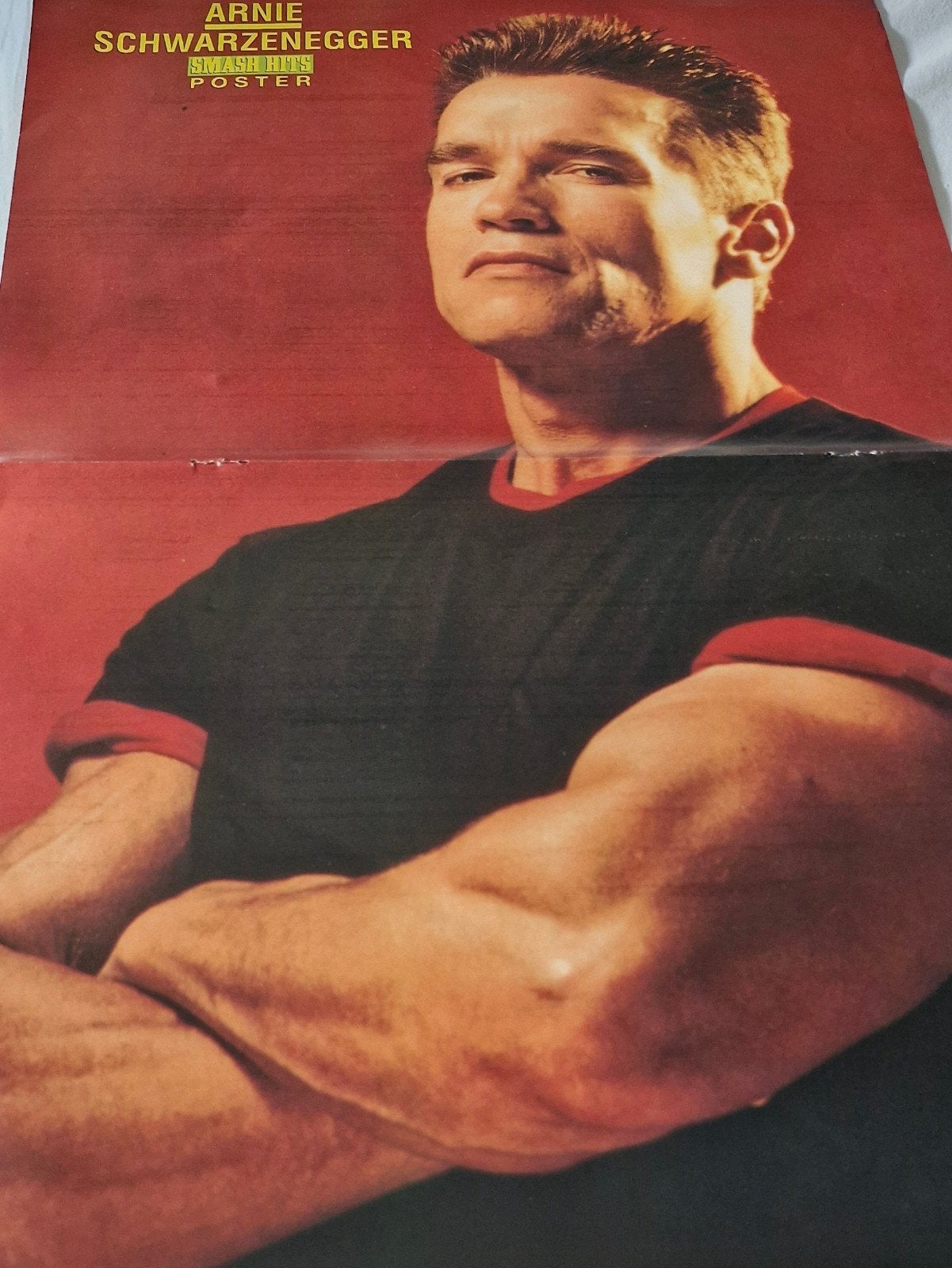 poster arnold schwarzenegger, Ophalen of Verzenden, A1 t/m A3