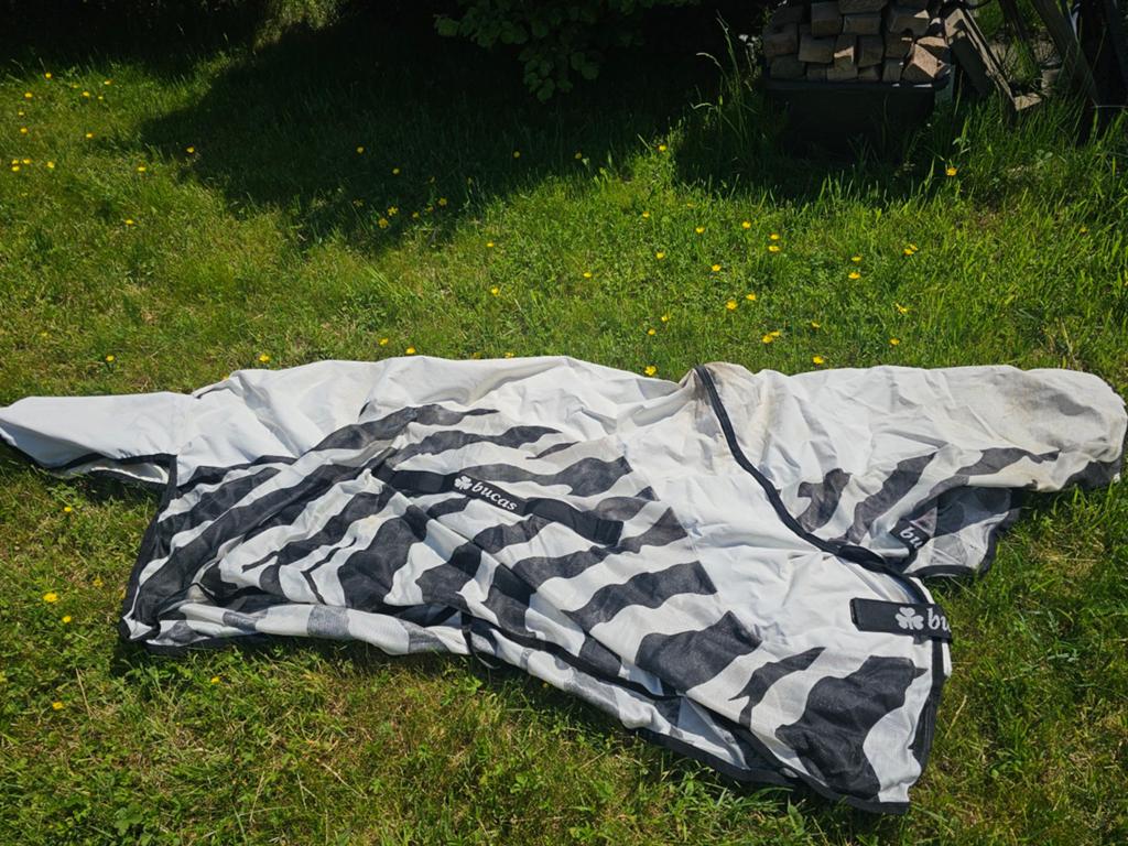 Bucas buzz off Rain vliegendeken zebra maat 135-185, Dieren en Toebehoren, Paarden en Pony's | Dekens en Dekjes, Gebruikt, Mesh