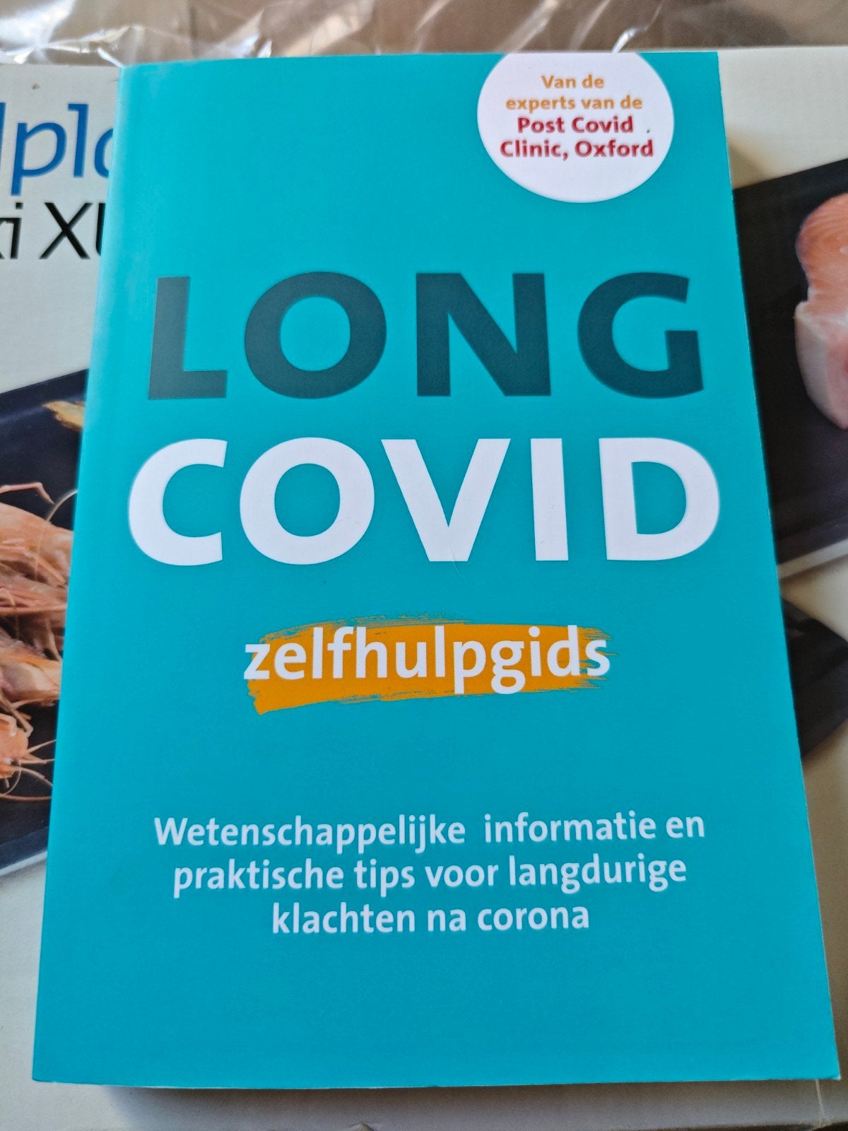 Long Covid Zelfhulpgids - Wetenschappelijke informatie, Boeken, Ophalen of Verzenden, Zo goed als nieuw, Gezondheid en Conditie