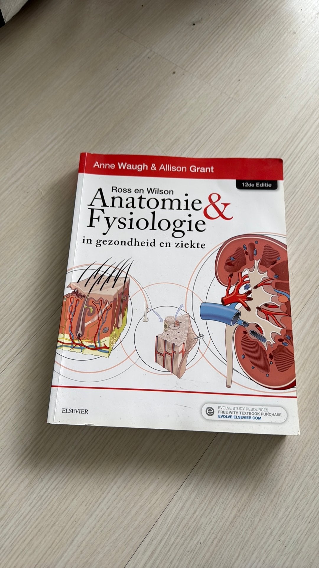 Ross en Wilson Anatomie & Fysiologie - 12e Editie (Nieuw), Boeken, Ophalen of Verzenden, Beta, Nieuw, HBO