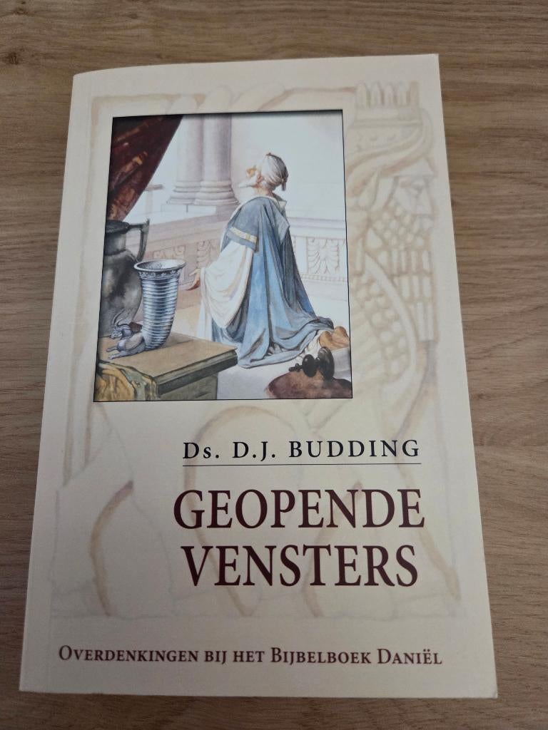 Geopende vensters Ds D.j BUDDING, Boeken, Ophalen of Verzenden, Zo goed als nieuw, Ds.D.j Budding, Christendom | Protestants