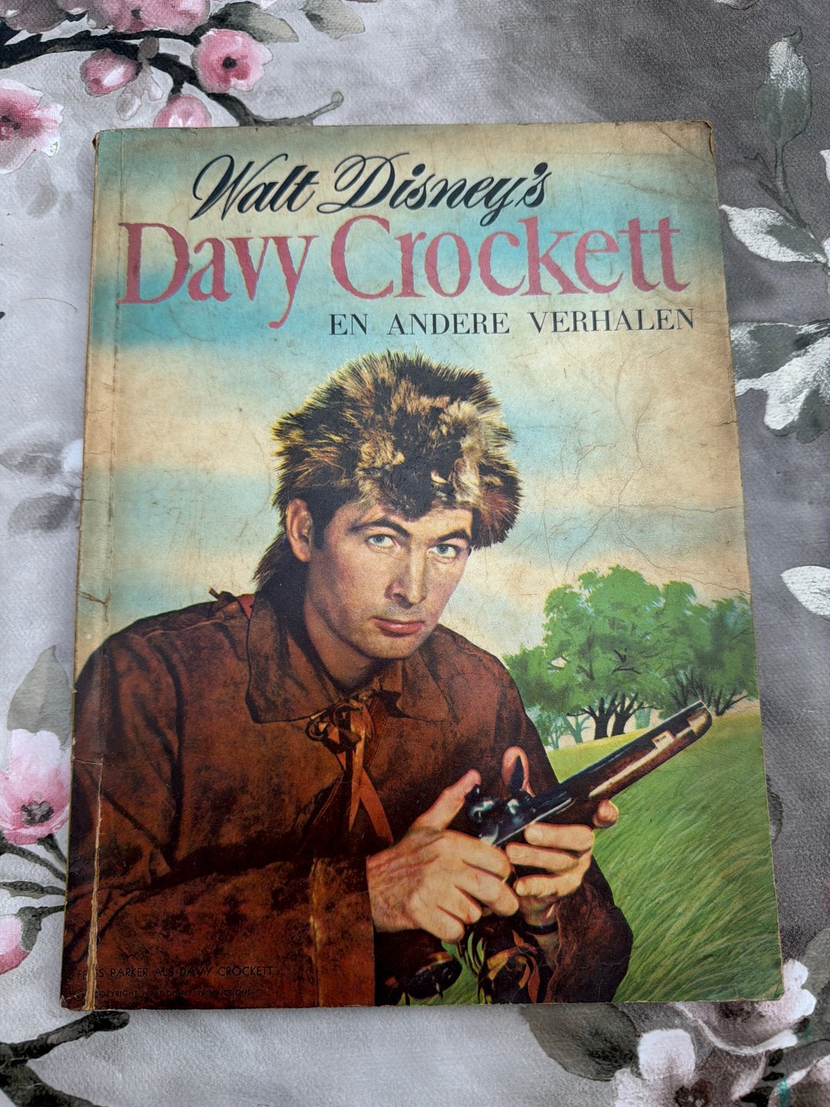 Walt Disney's Davy Crockett en andere verhalen, Ophalen of Verzenden, Gelezen
