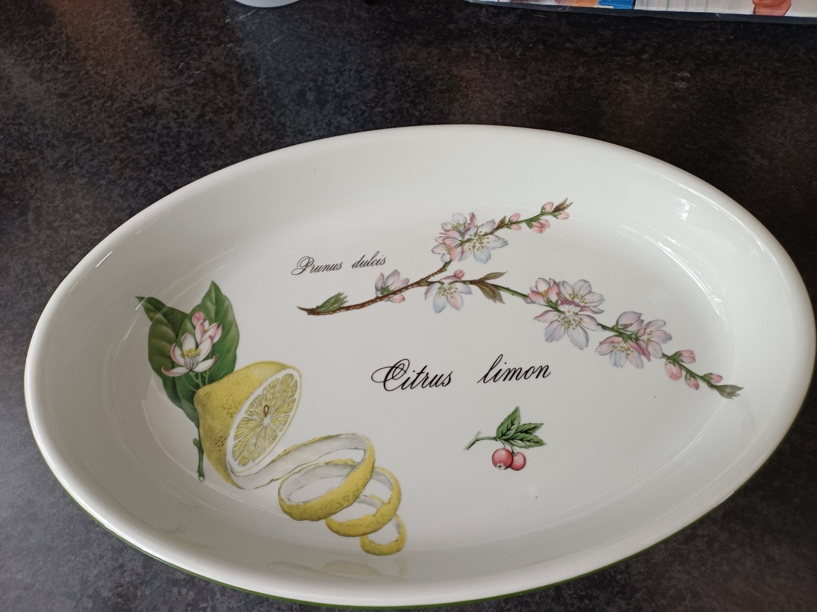 Vintage Apilco porselein ovale schaal 1980, Antiek en Kunst, Ophalen
