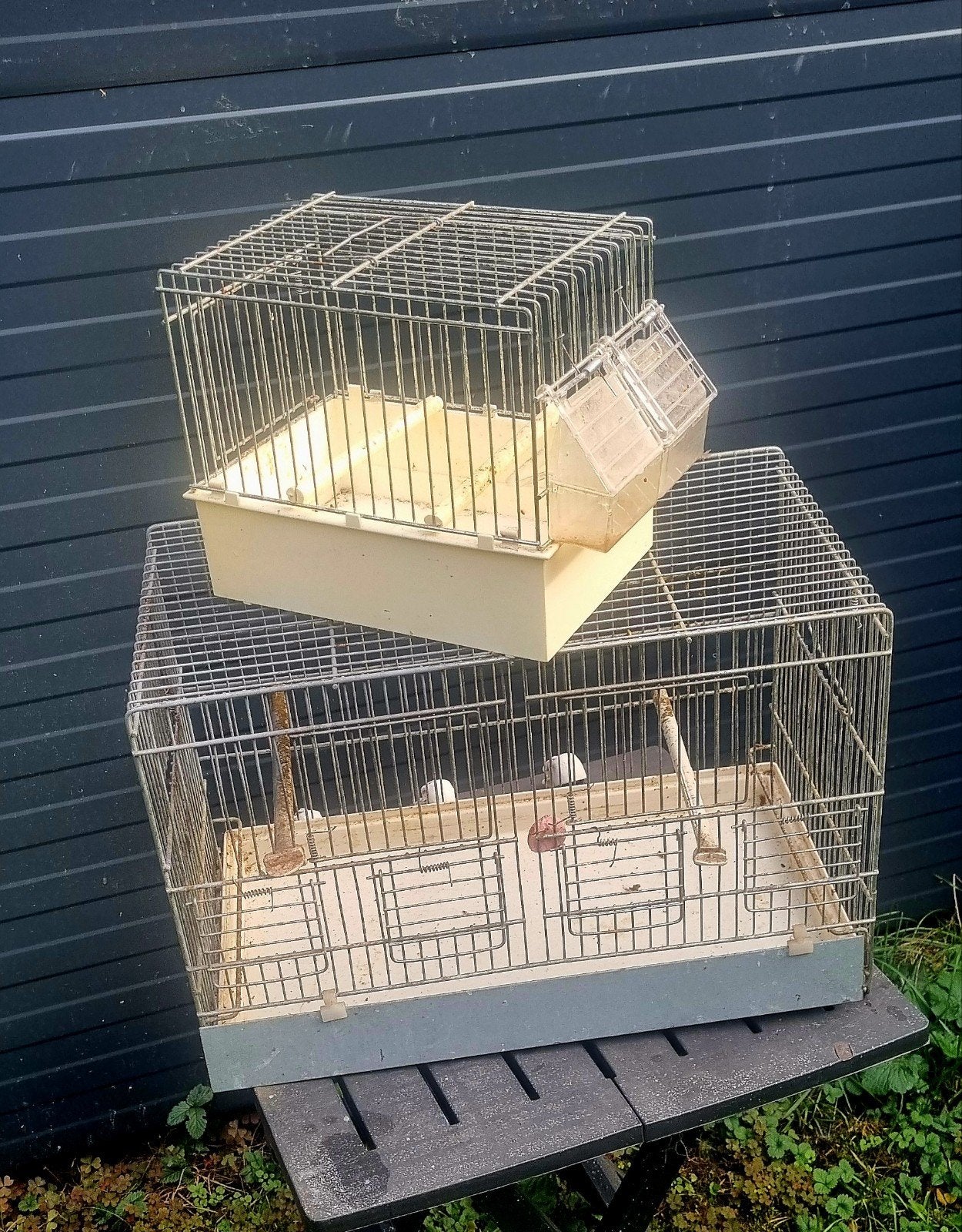 kooien, Dieren en Toebehoren, Ophalen of Verzenden, Hout, Vogelkooi