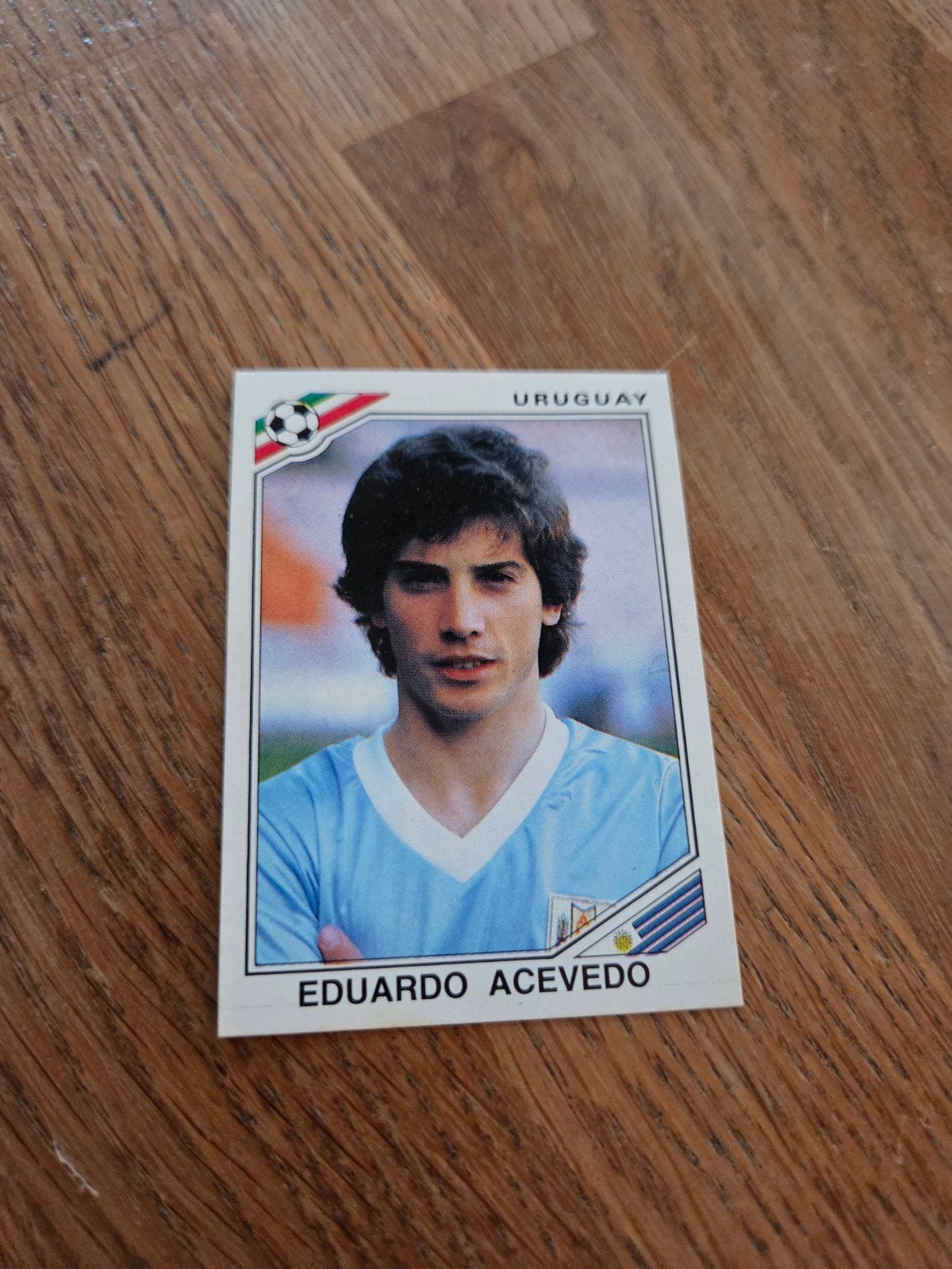 Panini WK 86, Ophalen of Verzenden, Zo goed als nieuw, Sticker
