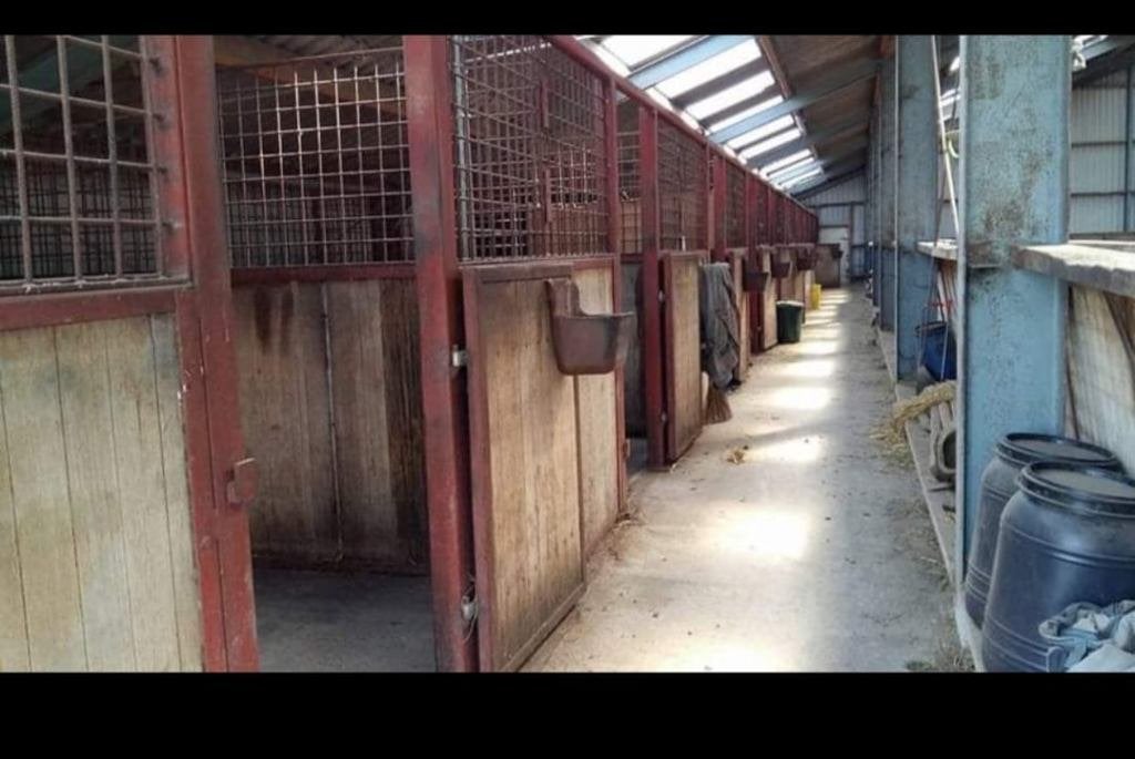 Stalling paard, Dieren en Toebehoren, Stalling, 2 of 3 paarden of pony's