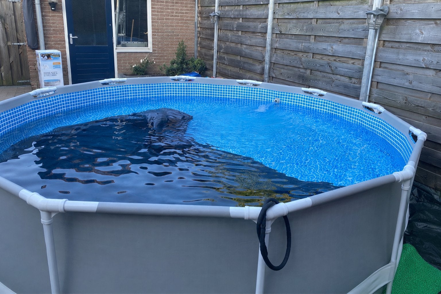 Intex Prism Frame Premium Pool Set - 3.66m x 76cm, Tuin en Terras, Zwembaden, Ophalen, Gebruikt, Minder dan 80 cm, Rond
