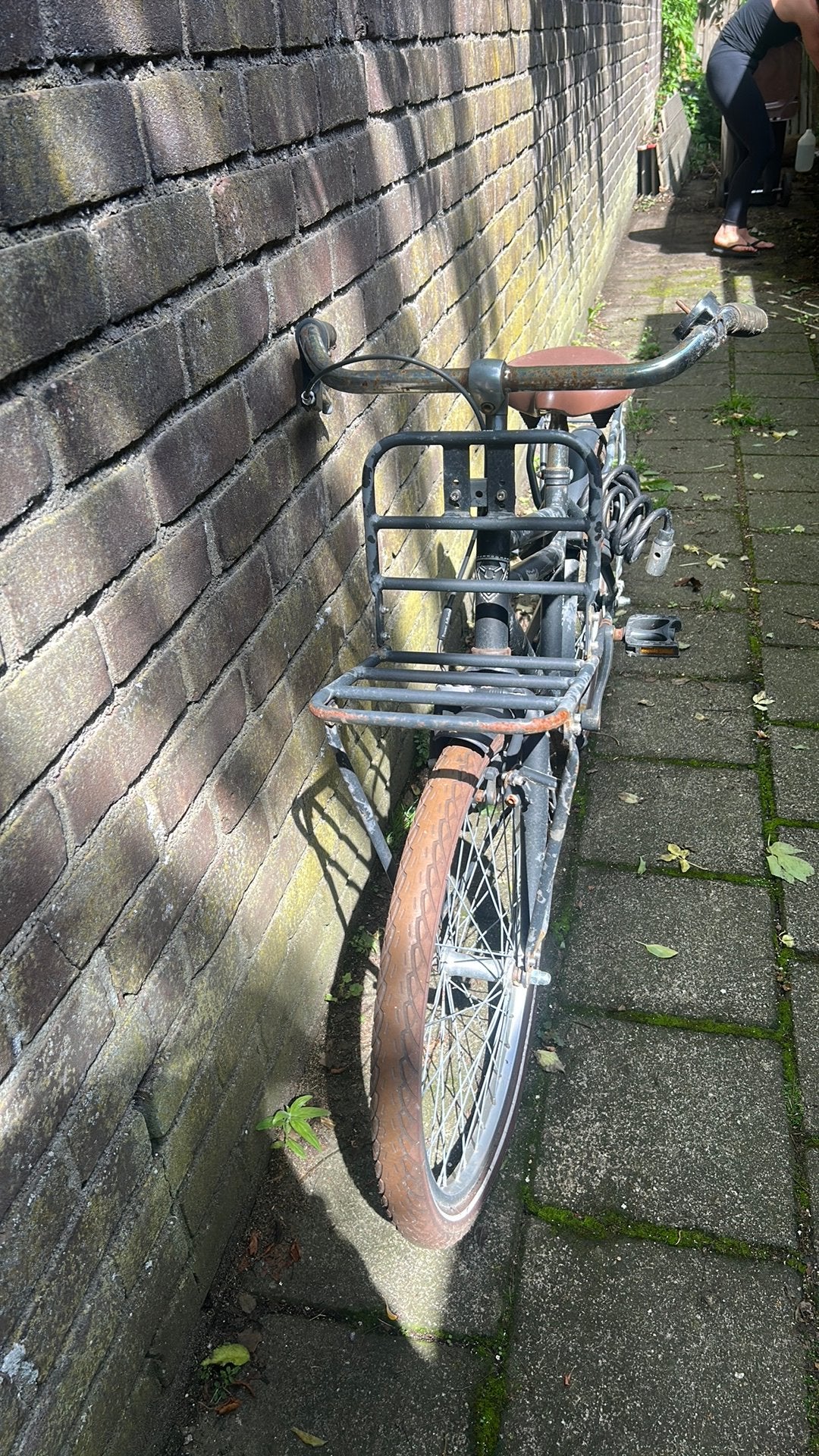 Alpina veel gebruikte kinderfiets, Ophalen, Terugtraprem, Gebruikt, Handrem