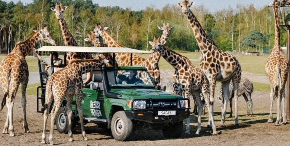 Safaripark Beekse Bergen, Twee personen, Ticket of Toegangskaart