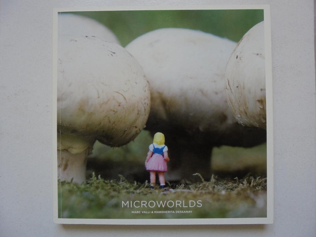 Microworlds miniatuurfotografie, Ophalen, Zo goed als nieuw, Overige onderwerpen